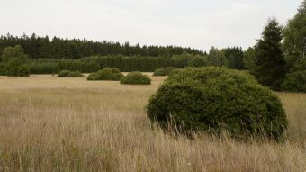 Větší verze po kliknutí. Loučení se Suchými vrchy (červenec 2015)